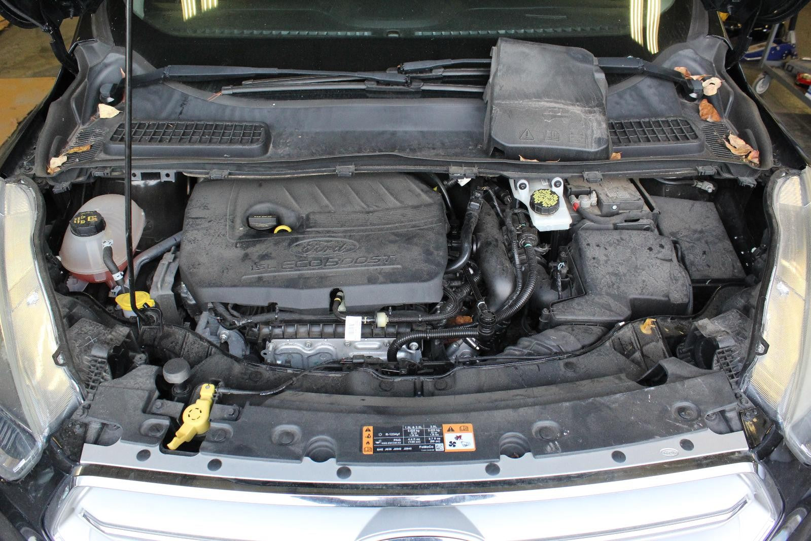 Used Starter Motor fits: 2018 Ford Escape 1.5 Grade B
