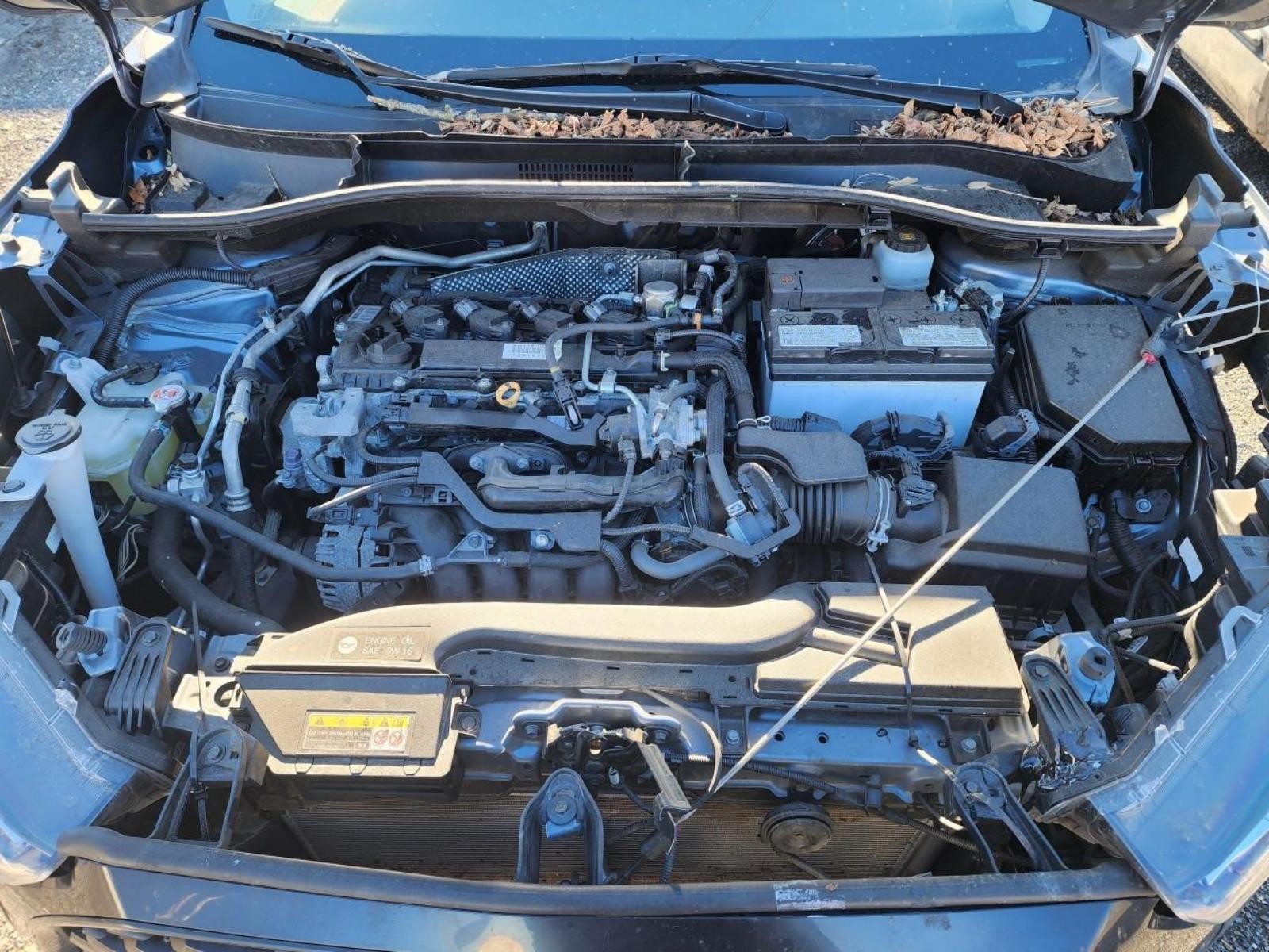 TOYOTA COROLLA CROSS Transmission  2023