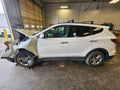 HYUNDAI SANTA FE L Rear Door (electric, privacy tint glass), SWB (Sport), w/su
