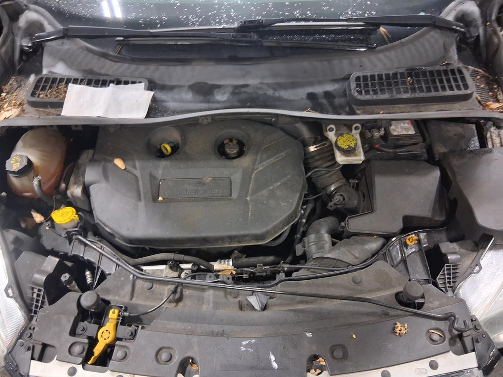 Used Rear Left Door Window Regulator Rear fits: 2017 Ford Escape electric includ