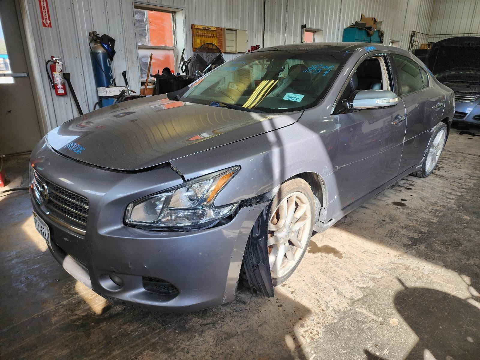 Used Rear Left Door Window Regulator Rear fits: 2009 Nissan Maxima Rear Left Gra