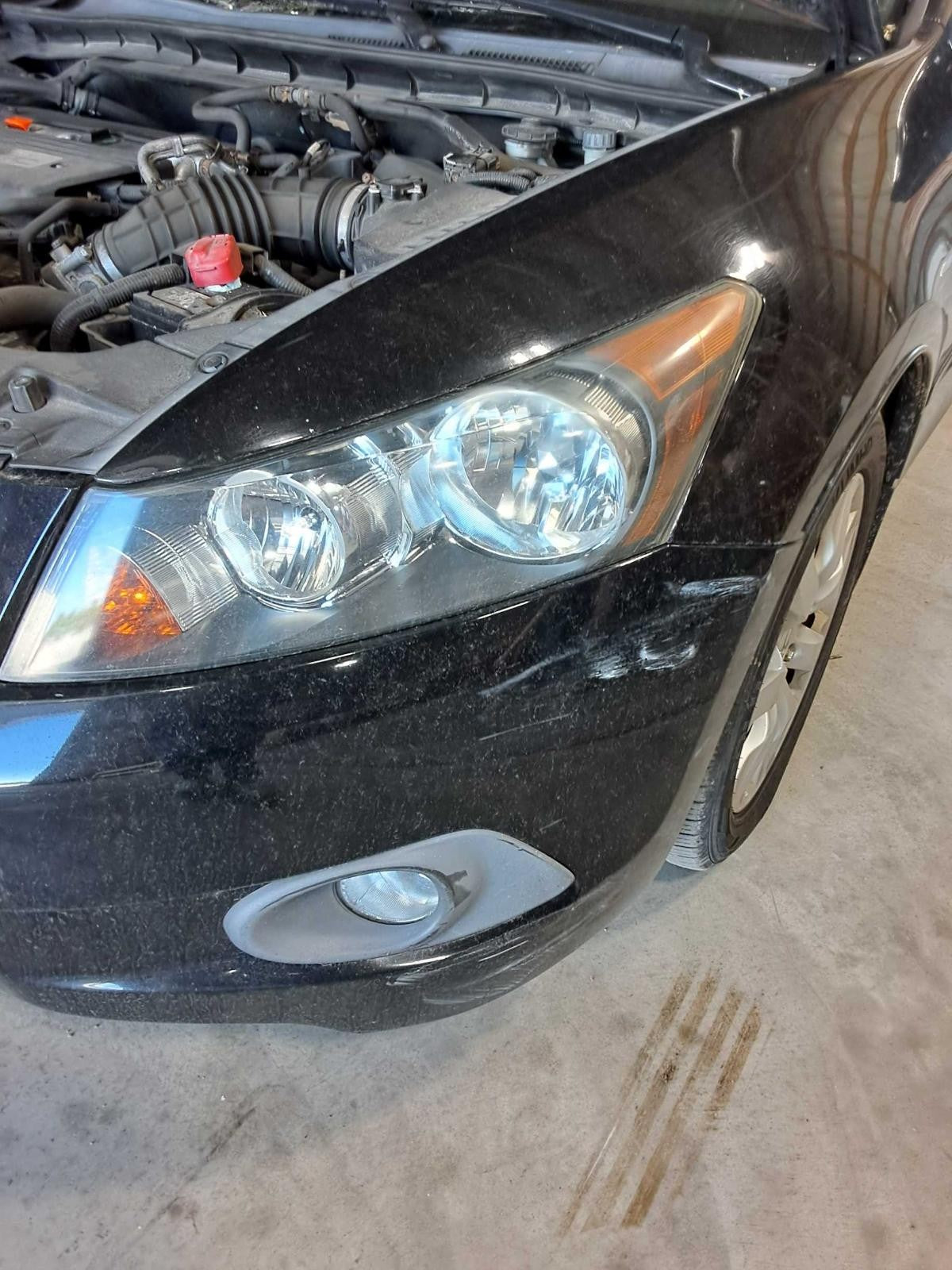 Used Rear Bumper Assembly Rear fits: 2009 Honda Accord Sdn 2.4 Rear Grade A