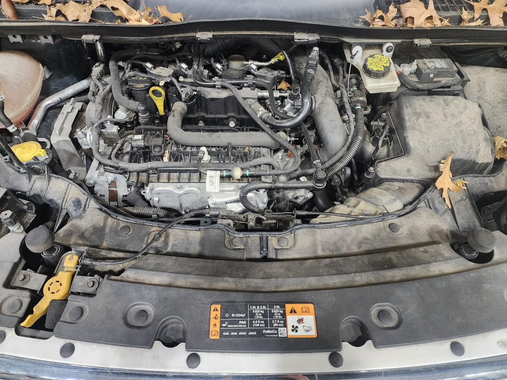 Used Right Tail Light Assembly fits: 2019 Ford Escape quarter panel mounted brig